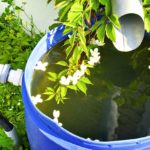 The Do’s And Don’ts Of Building Your First Rain Barrel