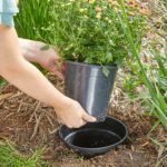 Hack d'aménagement paysager ultra simple: Plantez vos pots