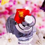 DIY香水创意 | 创造您自己独特的标志性香味