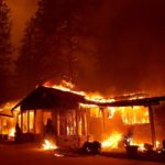 Cum ar putea arde mai mult lemn să lupte împotriva incendiilor din California