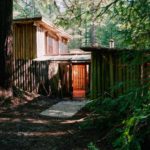 Watches, Stories, and Gear: Isolated Living within the Redwoods, Tips for Your Video Calls, and Gene...