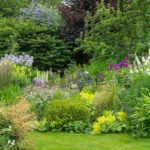 S Gardening Mistakes You Might Be Making with Your Perennial Plants