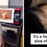 forty Of The Funniest Microwave Fails