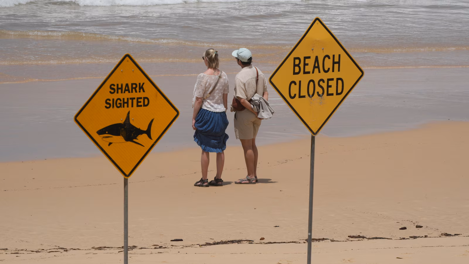 Surfer bitten in 4th shark assault off Australia’s east coast in 3 days
