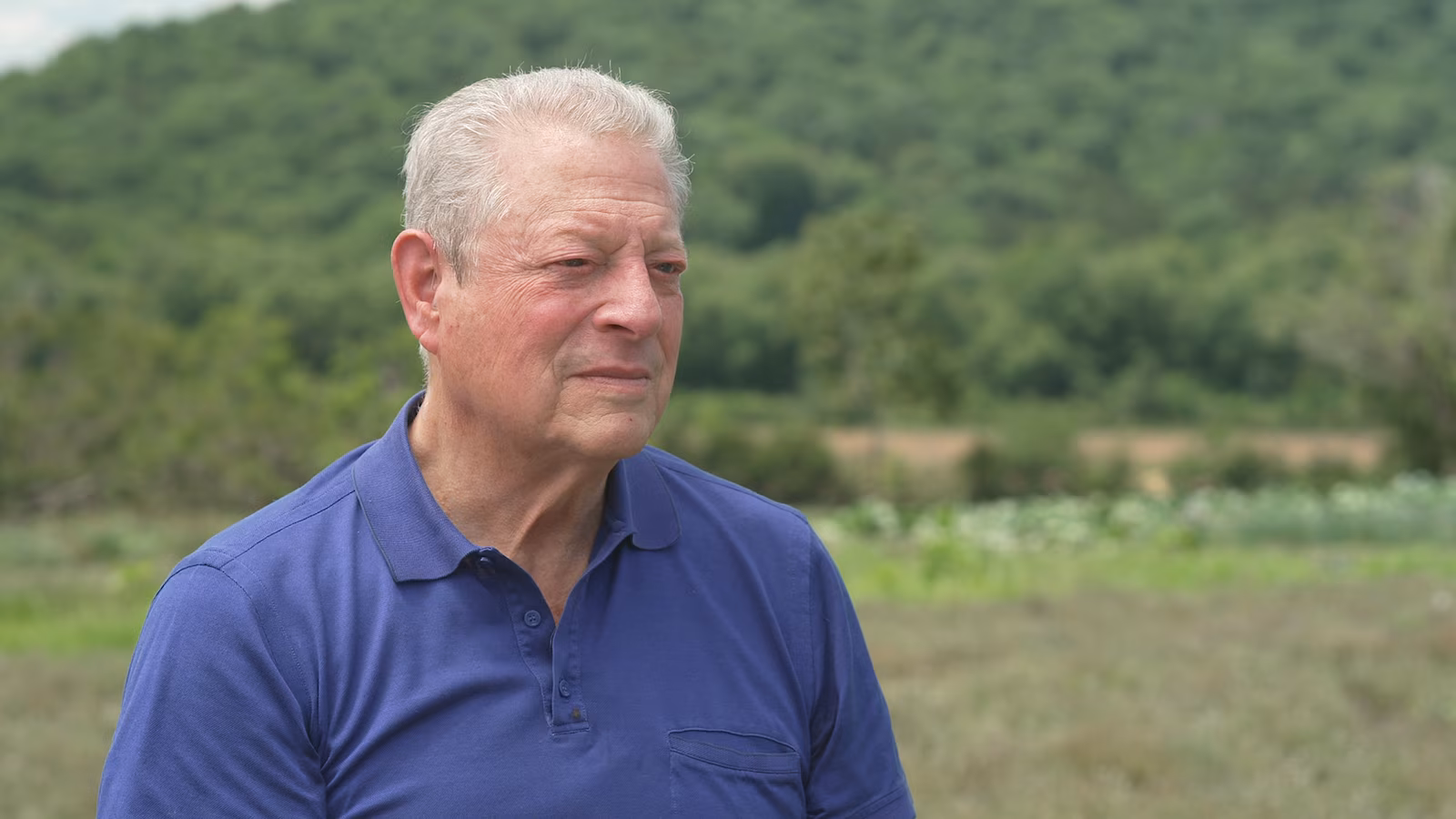 ‘Scientists have been lifeless proper’: Al Gore says on twentieth anniversary of ‘An Inconvenient Reality’