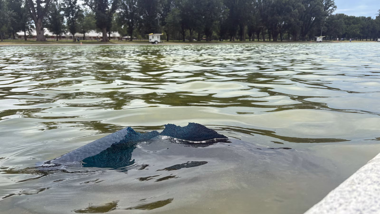 A number of the Lincoln Memorial Reflecting Pool liner seems to be falling aside