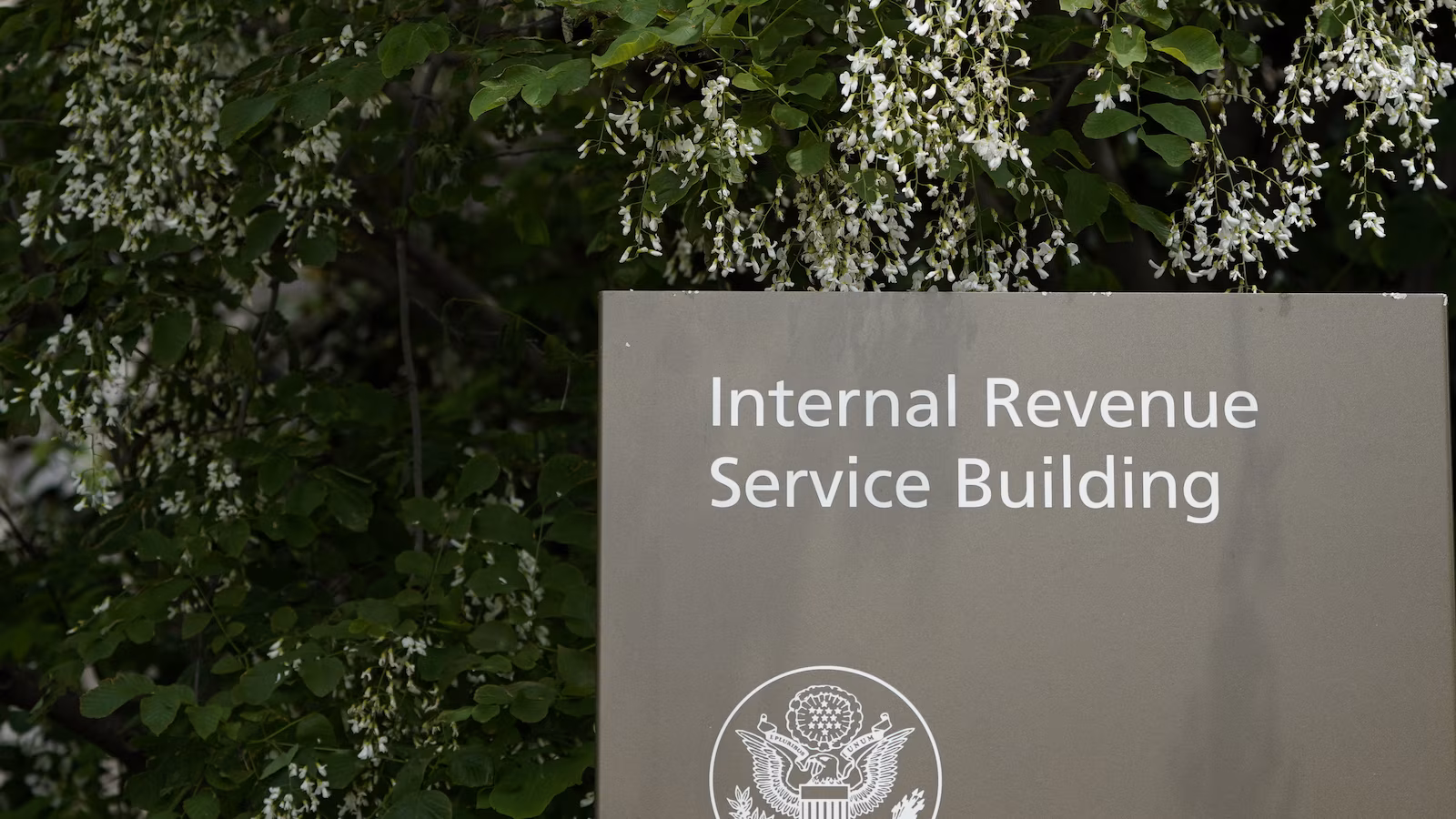 A watchdog report flags safety dangers within the IRS-ICE taxpayer data-sharing deal