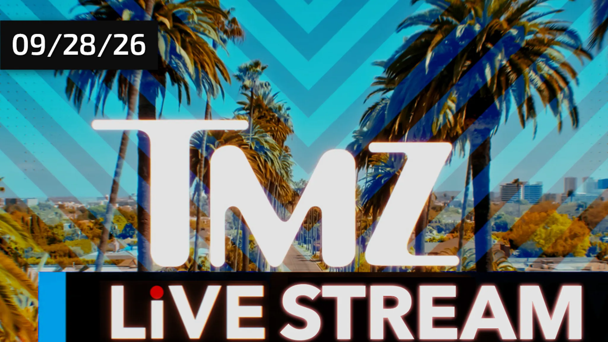 TMZ Streaming Stay, Come Into Our Newsroom and Watch Issues Occur!