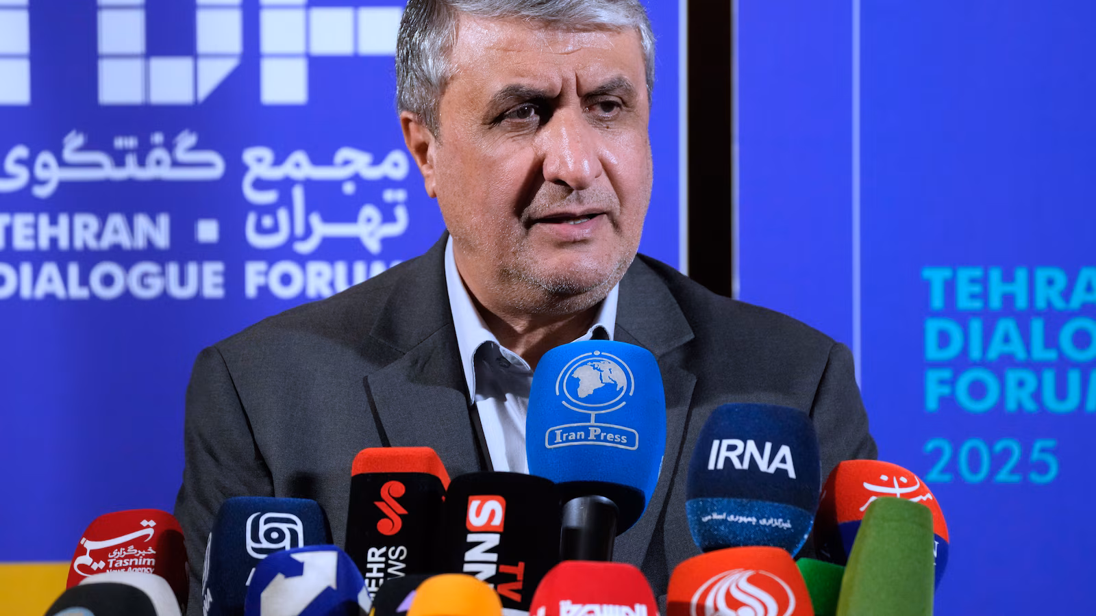 Iran’s nuclear chief not anticipated to attend IAEA Basic Convention, official says