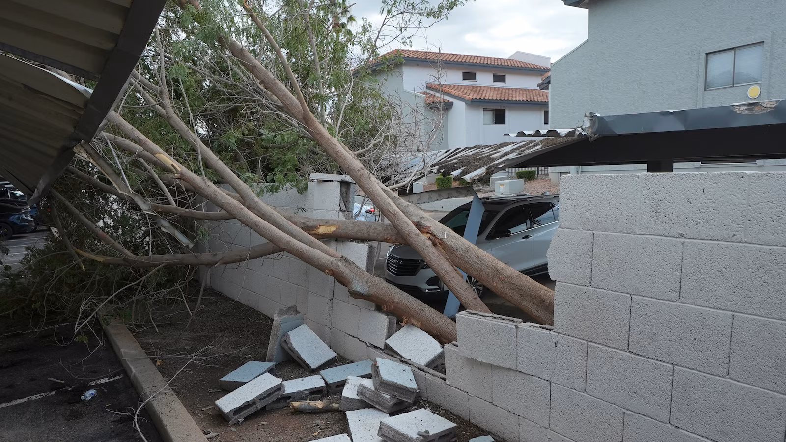 Violent Arizona storms carry potential twister, toppled timber and golf ball-size hail