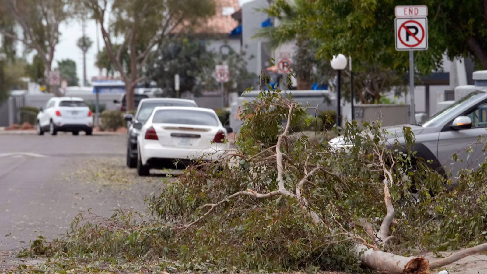 Hail the dimensions of golf balls pummels elements of Arizona as uncommon storm strikes by way of the West
